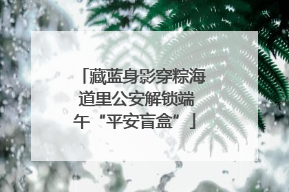 藏蓝身影穿粽海 道里公安解锁端午“平安盲盒”